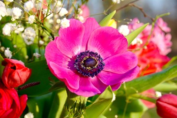 Frühling - Blumenstrauß bunt