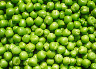 green pea