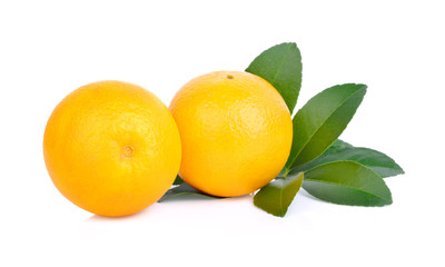 orange on white background