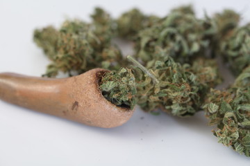 marijuana cannabismarijuana and cannabis. legal drug