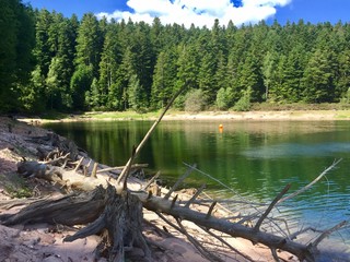 Lac