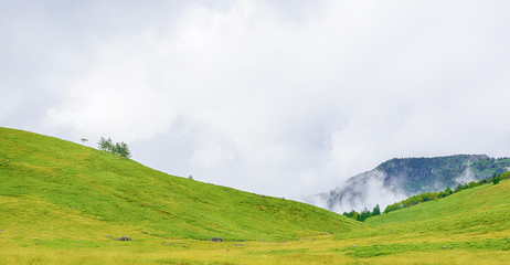 高地の草原