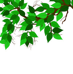 Green Leaves Vector Background
