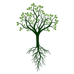 Color Tree with Roots. Vector Illustration.
