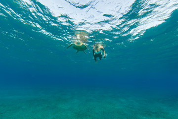 Fototapeta na wymiar Snorkeling woman with hawksbill turtle, underwater photography.