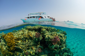 Small safari boat with snorkelists ready to jump into the water