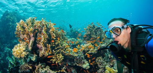 Obraz premium Underwater coral reef with man scuba diver exploring sea bottom.