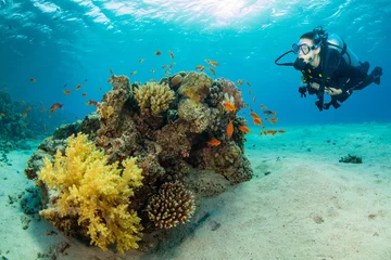 Fototapeten Underwater coral reef with woman scuba diver exploring sea bottom © Jag_cz