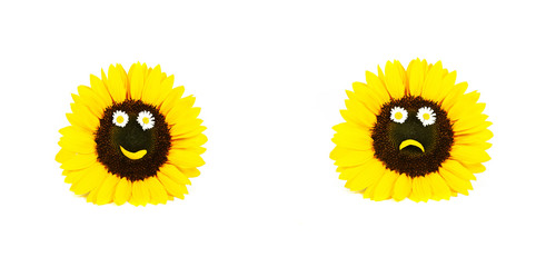 Sonnenblumen, Smiley, Smilies, Emojis, Sonnenblumen-Smilies, positiv, negativ, lachend, böse,...