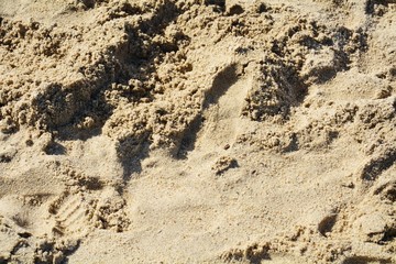 Sand texture in Elba island