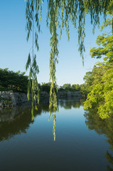 姫路城の堀
