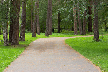 Дорожка для прогулок,занятия спортом в городском парке