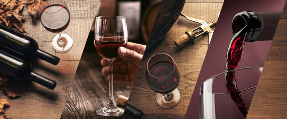 Wine tasting and winemaking - obrazy, fototapety, plakaty