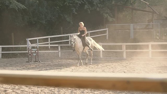 Horse Riding On the Training Ground