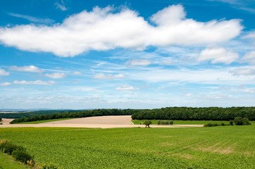 Agricultural fields for farming under a beautiful sky