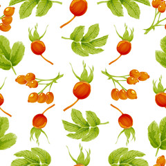 Seamless autumn pattern with berries and leaves of rosehip plants