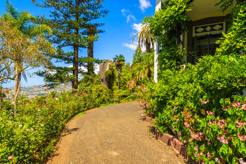 Fototapeta na wymiar Path in botanical gardens of Funchal town, Madeira island, Portugal