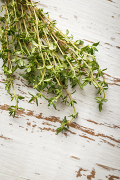 Thyme branches on a light background