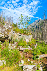 View of hiking trail in summer landscape of High Tatra Mountains, Slovakia