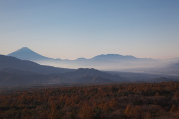 色付いた森林地帯