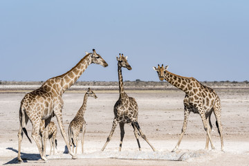 What are you looking at?