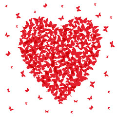 Fototapeta na wymiar Heart - summer banner, card design, red butterfly on white background. Vector