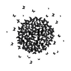 summer round banner, card design, black butterfly on white background. Vector