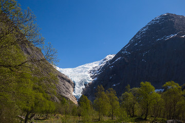 Briksdalsbreen glacier on a sunny day in May