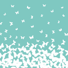 spring summer card design. banner, white butterfly on sky blue turquoise background. Vector