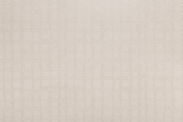 Kraft Paper Texture, Corrugated paper cardboard texture background for business, education and communication concept design.