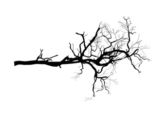 Vector Tree Branch