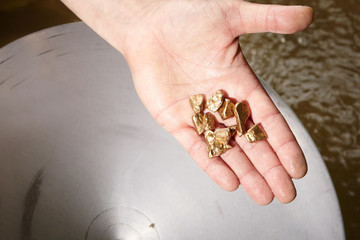 Detail of hand with golden nuggets found by today prospector in sand of creek