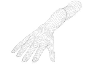 Human wireframe hand on white background. 3D image.