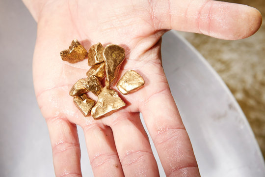 Detail of golden nuggets found by today prospector in sand of creek