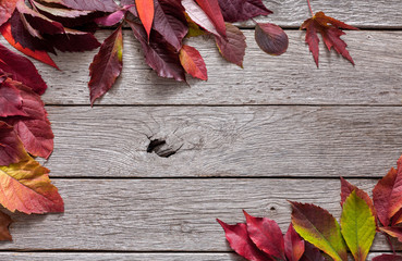 Naklejka na ściany i meble Autumn seasonal background, red rowan leaves