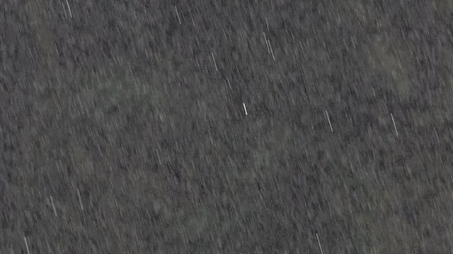 Slow motion of rain drop at tropical rain forest, against black background.
