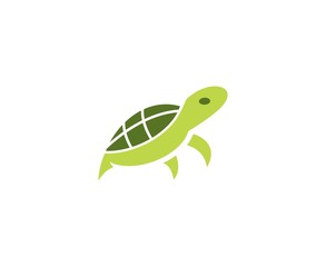 Turtle logo