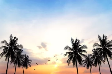Crédence de douche en verre acrylique avec photo Mer / coucher de soleil Coconut seaside landscape in the sunset (sunrise),Vintage filters, background silhouettes.