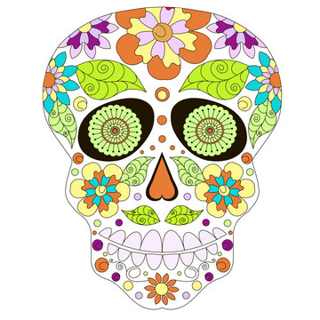 Doodle stylized colorful skull, hand drawing, stock vector illustration