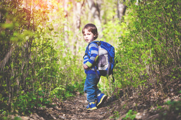 A child walks through the woods.