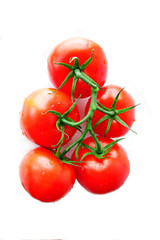 fresh tomatoes on white