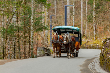 Obraz premium Bavaria. A twin horse-drawn cart.