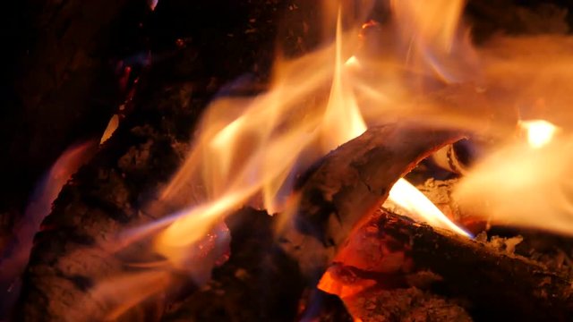 Dark live coals. Burning hardwood in detail. Burning woods shiver in hot air and gentle flames fluorescing. White ash covers the burning pieces of wood. 