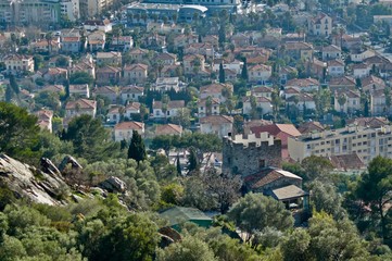 Obraz premium Hyers les palmiers