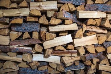 Chopped firewood prepared for winter.