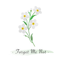 Colorful watercolor texture vector botanic garden flower white forget me not