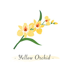 Colorful watercolor texture vector botanic garden flower yellow orchid