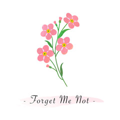 Colorful watercolor texture vector botanic garden flower pink forget me not