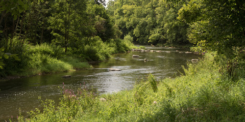 Jagst