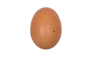 Single brown chicken egg isolated on white background.